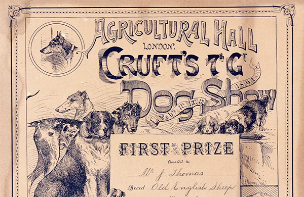 1891: The first Crufts show. The first Crufts show, under that title, takes place at the Royal Agricultural Hall in Islington