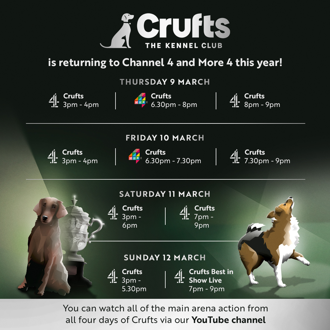 How to watch Crufts Live - Crufts