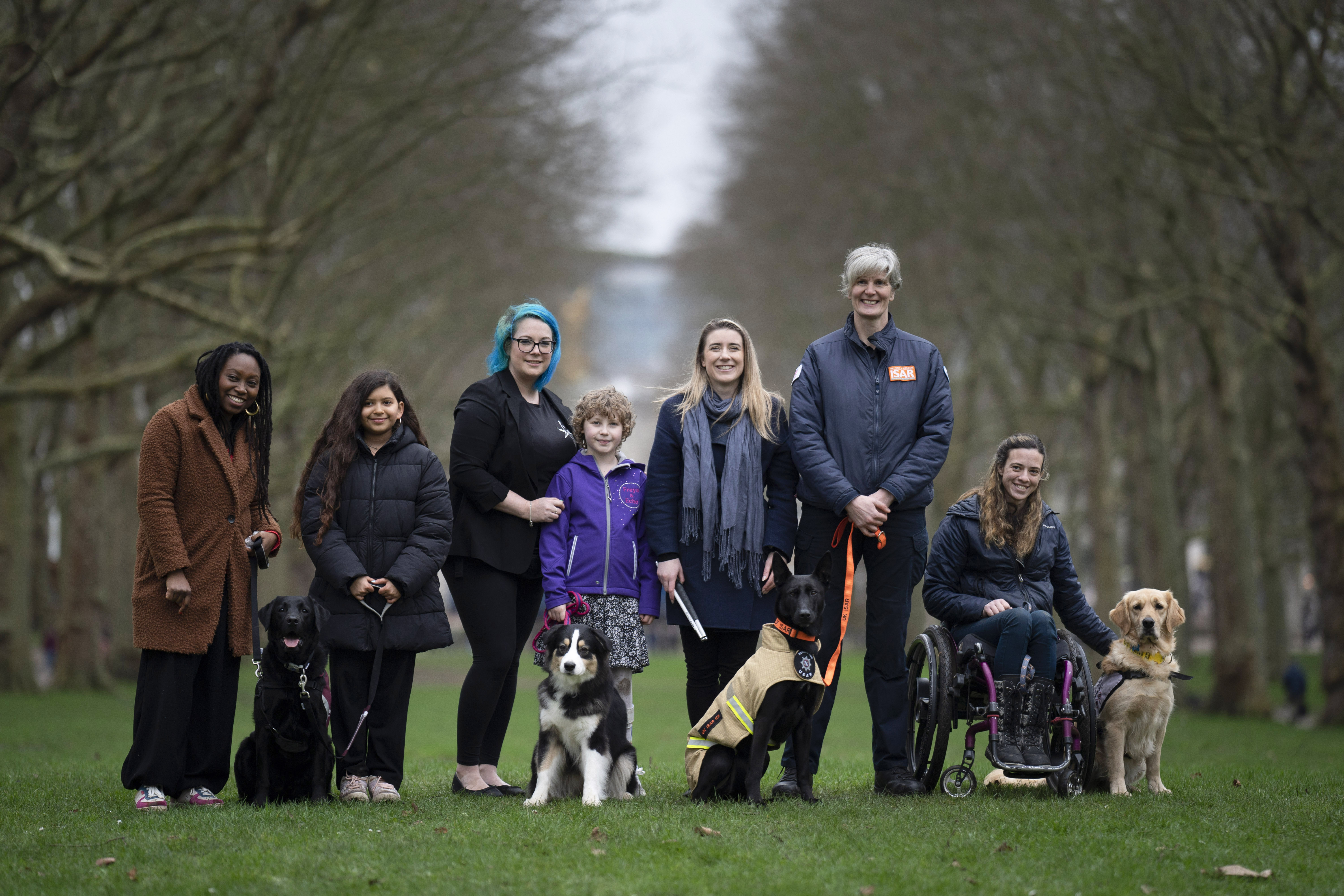 Crufts The World s Greatest Dog Show Event Competitions