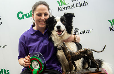 Border collie hot sale crufts