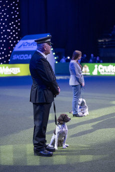 PC Martin King’s police dog Tweed