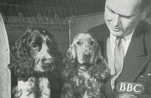 1950: Crufts in the limelight  Crufts is televised by the BBC for the first time. Already a popular event for visitors in London