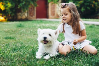 Child and dog together