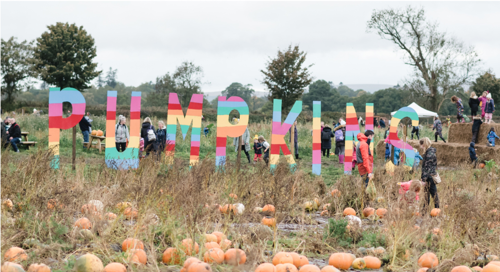 Pumpkin picking at Arnprior Farm in Scotland