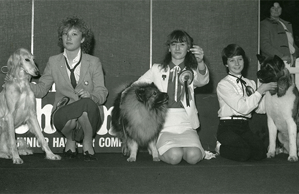 1985: The launch of the Young Kennel Club (YKC) at Crufts The Kennel Club Junior Organisation is launched, now known as the Young Kennel Club (YKC).