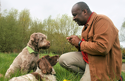 Top store dog trainer