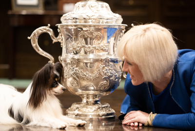 which dog won best in show at crufts 2019