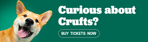 Curious About Crufts