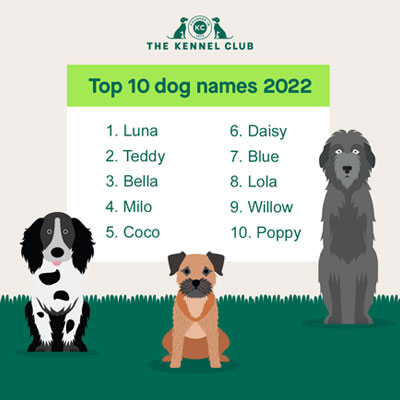 How to name your dog blogs Crufts