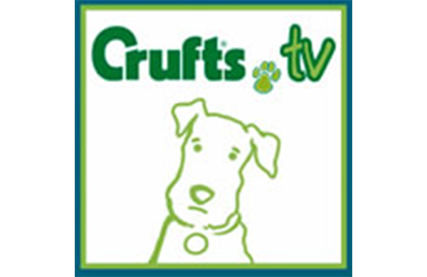 2009: Crufts takes centre stage online As the digital curtains lifted, Crufts finds a new and expansive platform and its online streaming becomes an immediate sensation. 